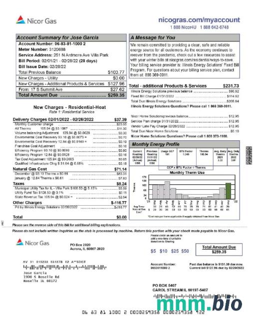 USA NICOR gas rachunek za media Word i PDF template